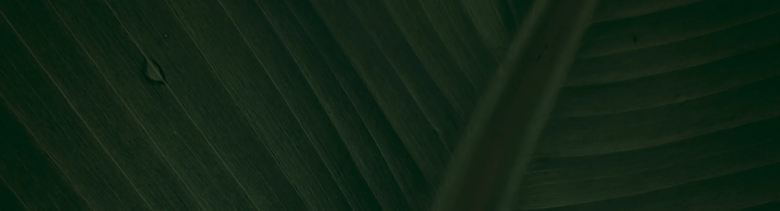 Crawler Tractor 35HP